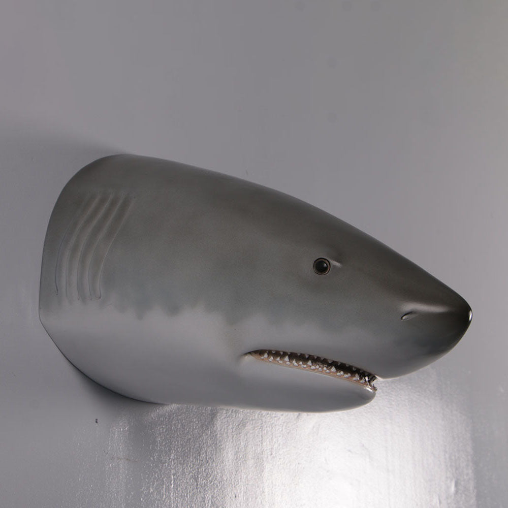 Great White Shark Head Statue