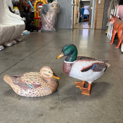 Female Mallard Duck Statue