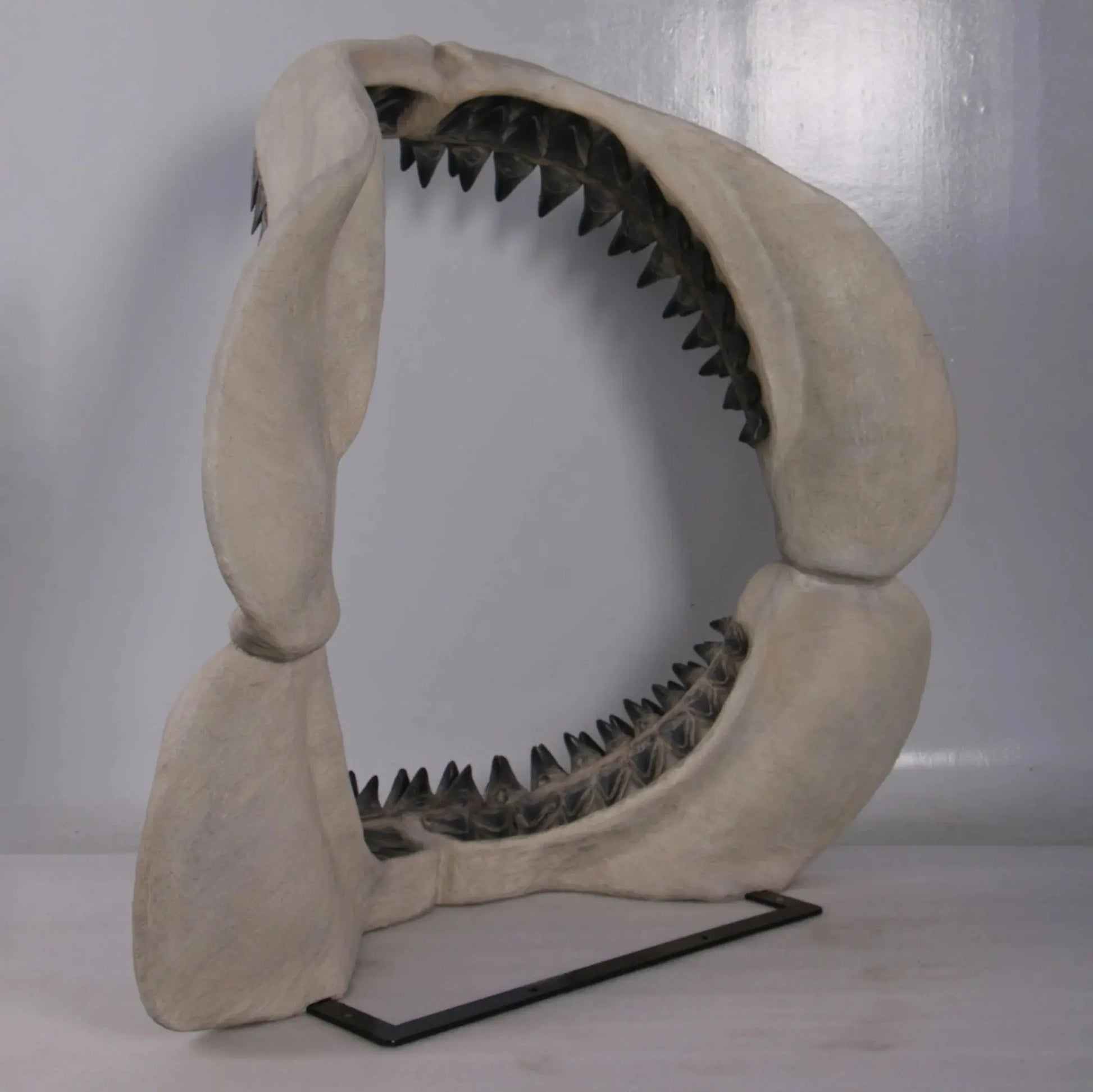 Megalodon Shark Jaw Statue A0793-200049-H