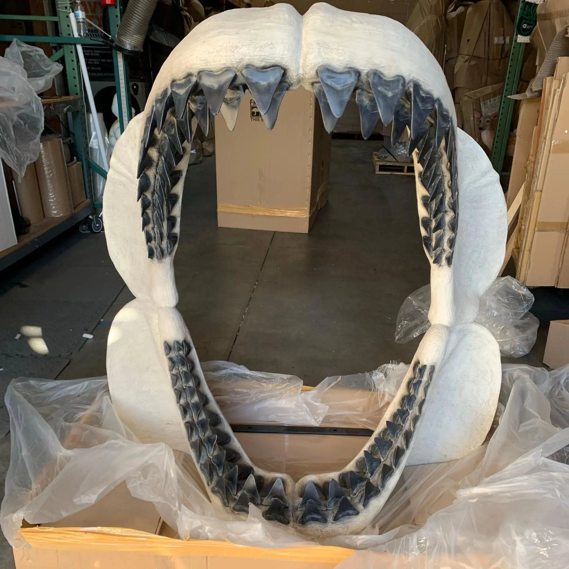 Megalodon Shark Jaw Statue A0793-200049-H