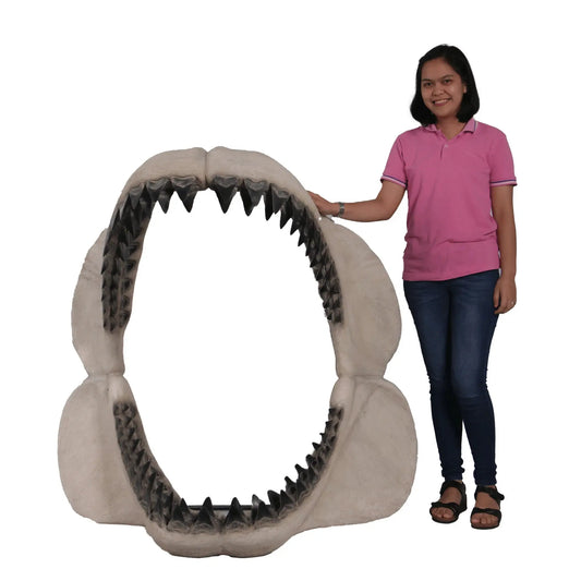 Megalodon Shark Jaw Statue A0793-200049-H