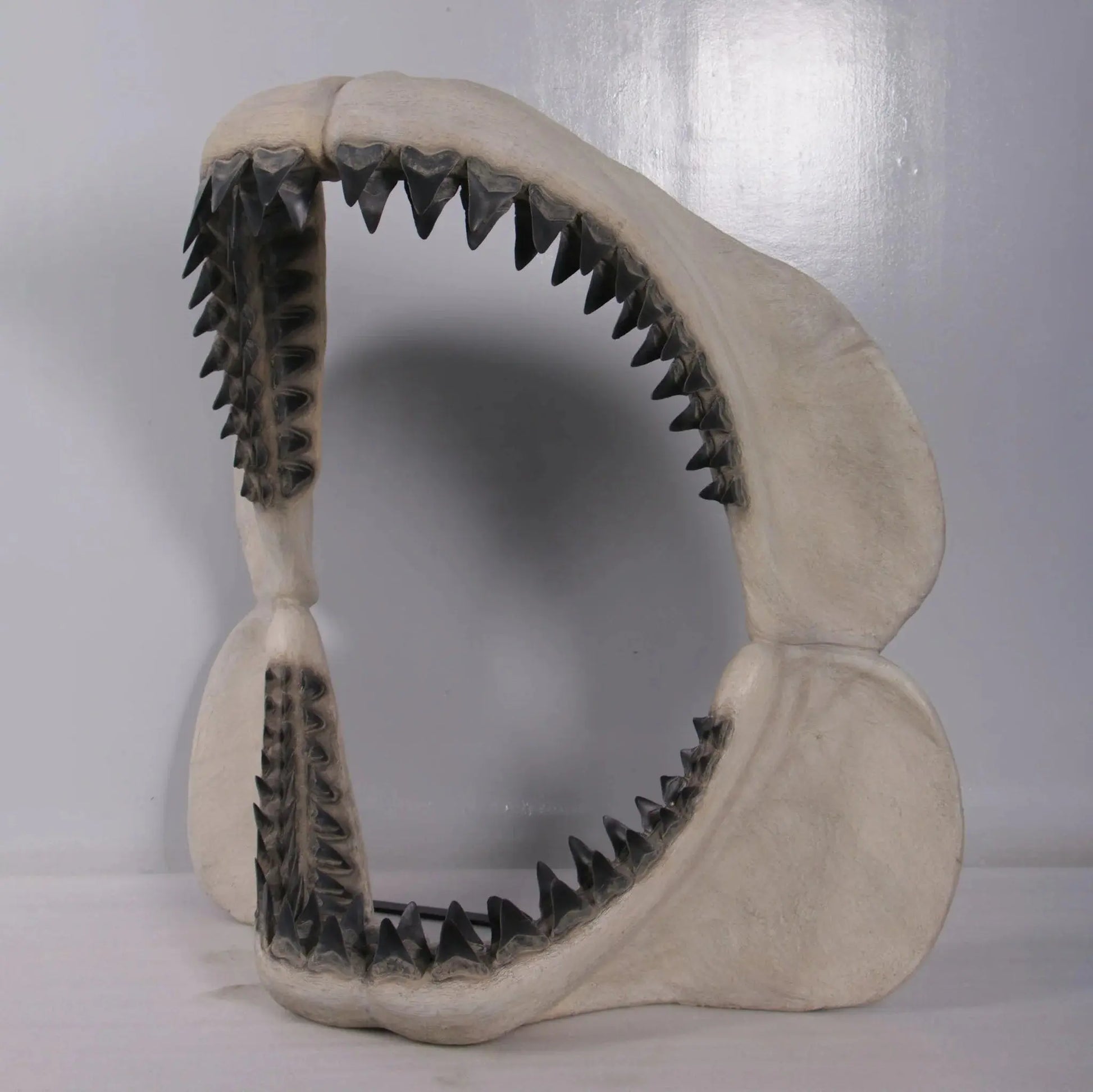 Megalodon Shark Jaw Statue A0793-200049-H