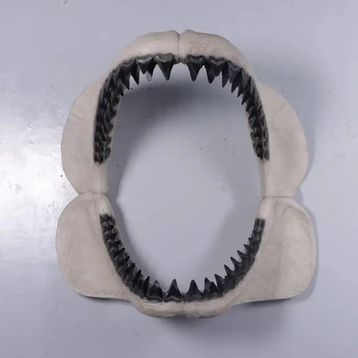 Megalodon Shark Jaw Wall Decor A0793W-200084-H