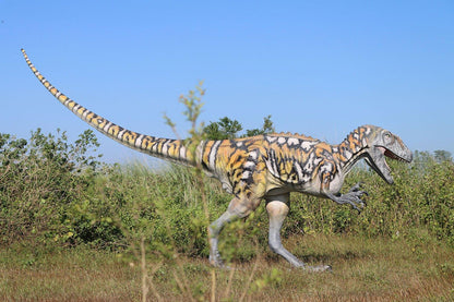 Australovenator Dinosaur Life Size Statue