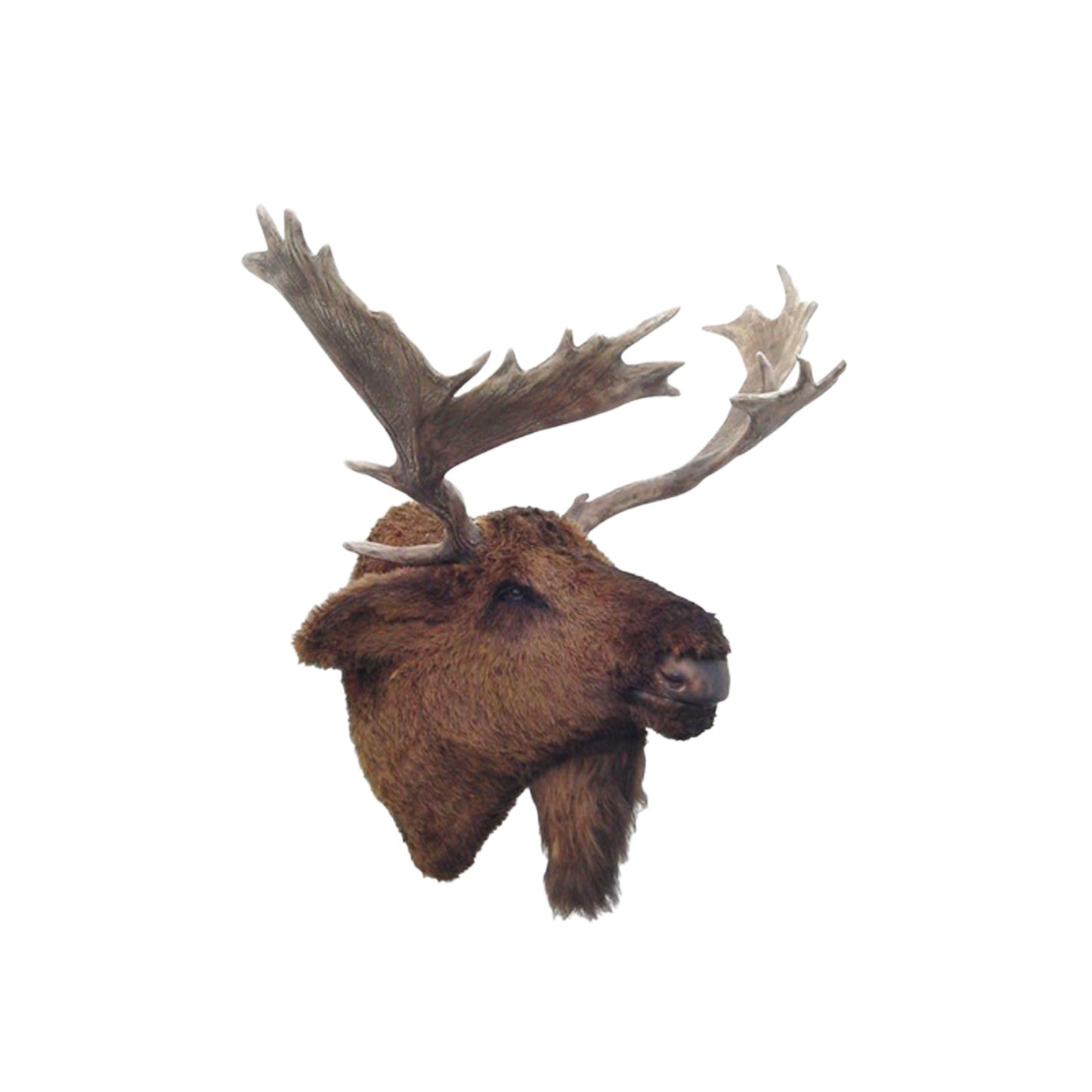 Moose Head Statue