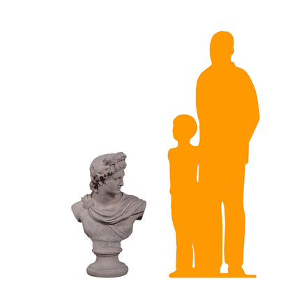Apollo Stone Bust Statue