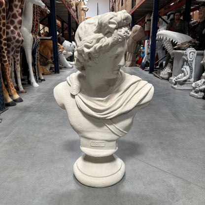Apollo Stone Bust Statue M0224-210157-H