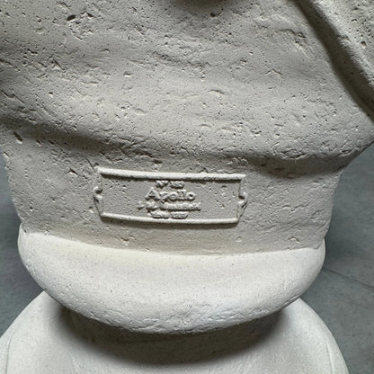 Apollo Stone Bust Statue M0224-210157-H