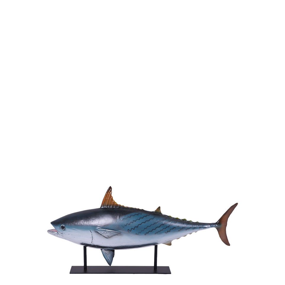 Mackerel Tuna Fish on Base Statue