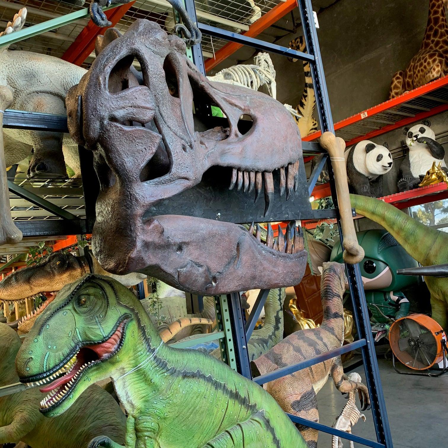 T-Rex Skull Wall Decor Statue - LM Treasures Prop Rentals 