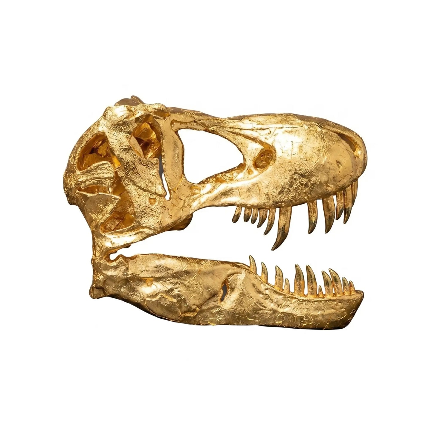 Gold T-Rex Skull Wall Decor Statue A0856G-220065-H