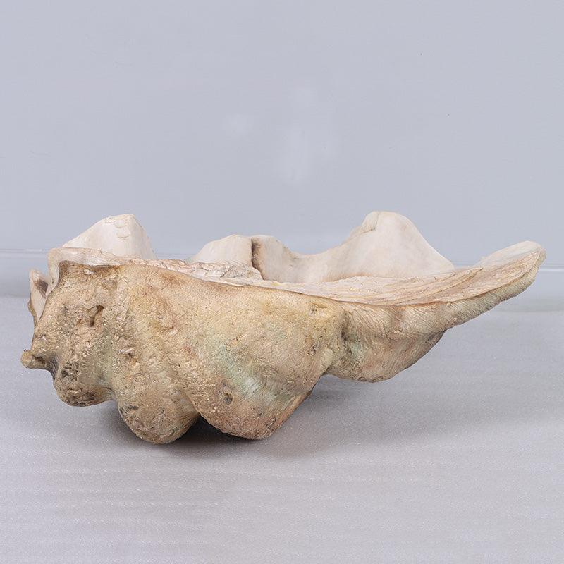 Clam Sea Shell Statue