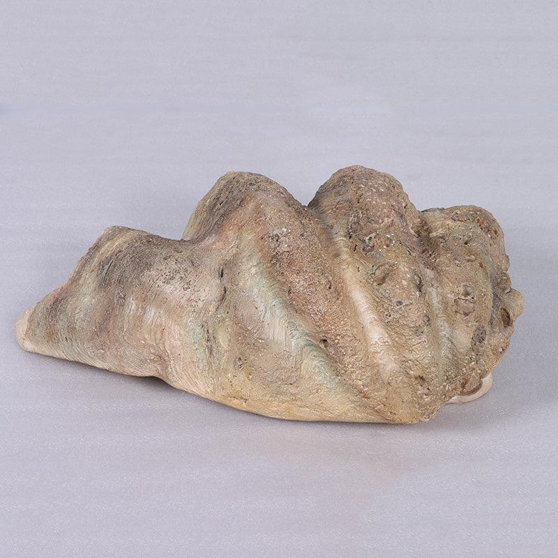 Clam Sea Shell Statue - LM Treasures Prop Rentals 