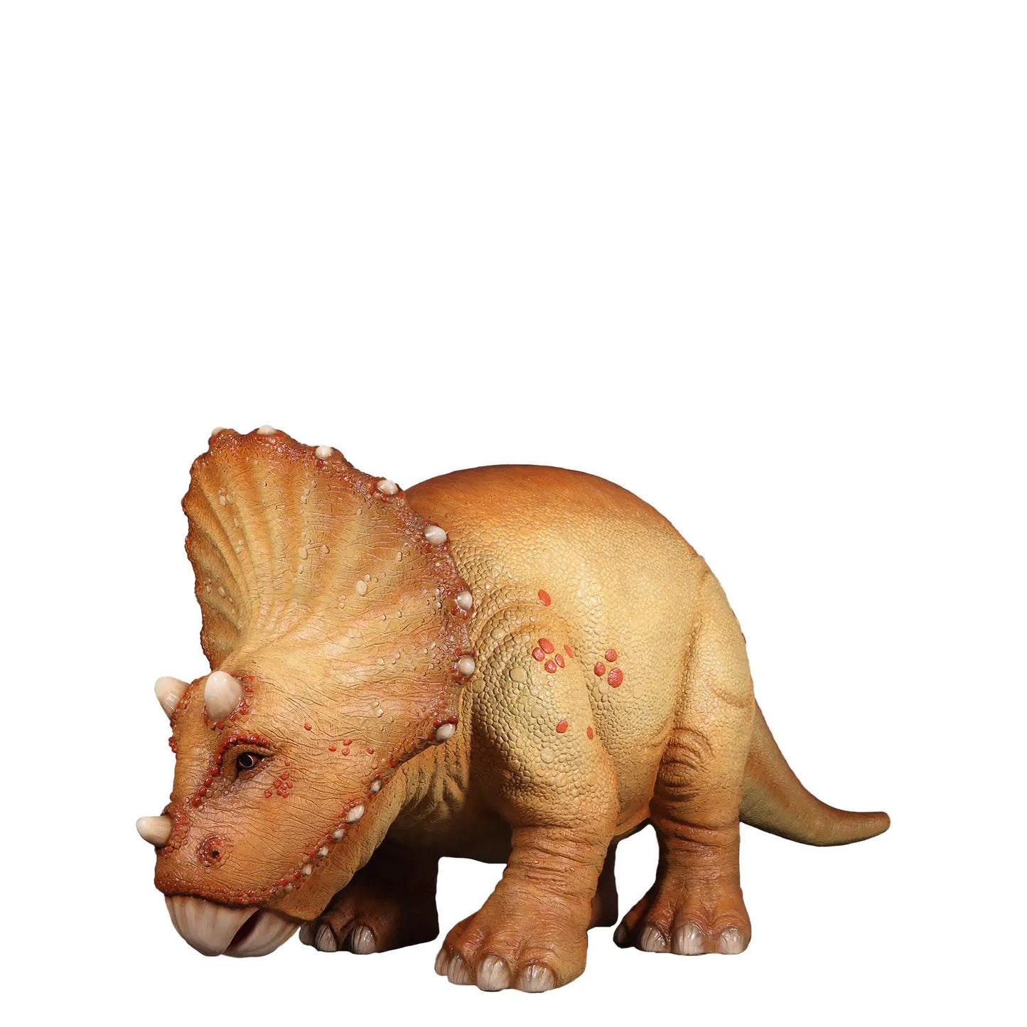 Large Orange Triceratops Baby Dinosaur Statue A0072-230138-H