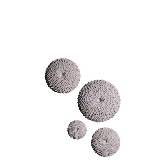 Sea Urchins Set of 4 Fossil Wall Decor Statues