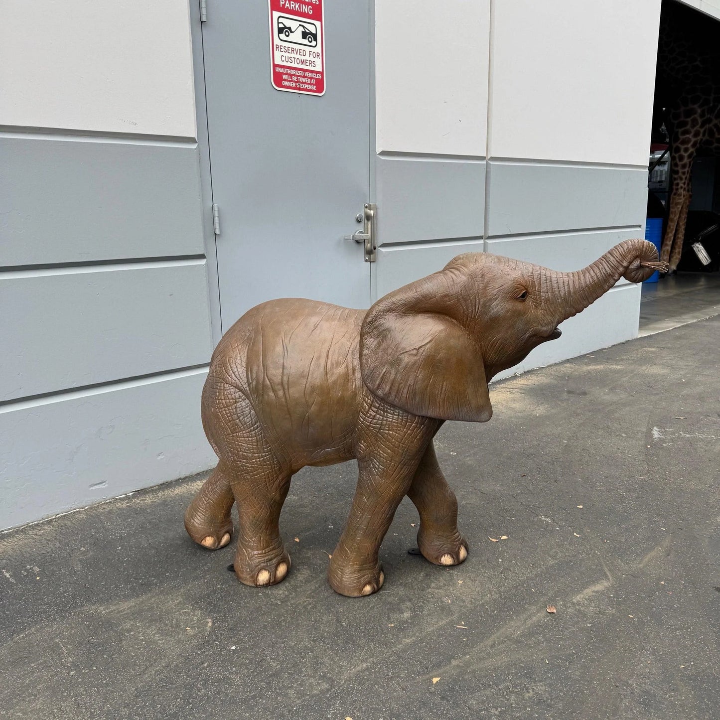 Walking Baby Elephant Statue