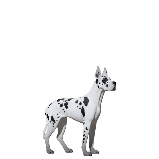 Great Dane Dog Life Size Statue