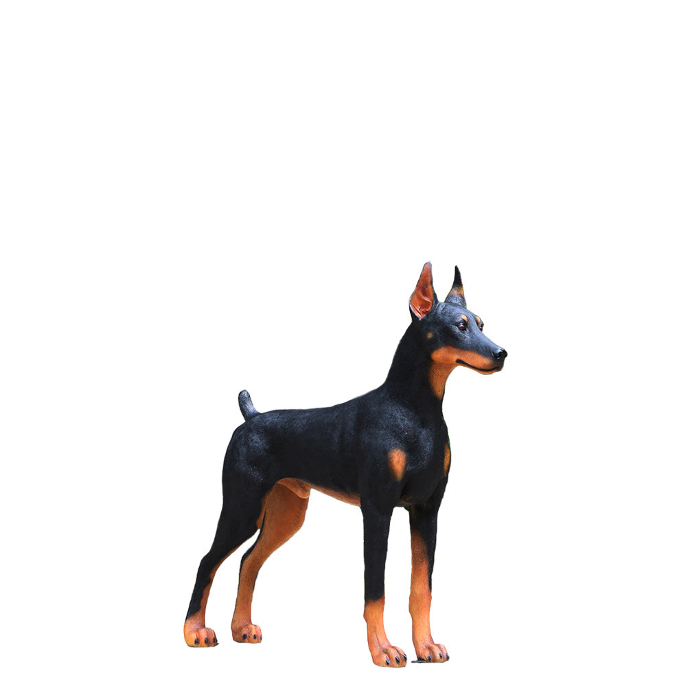 Doberman Dog Life Size Statue