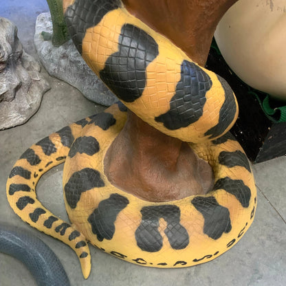 Anaconda Snake On Branch Life Size Statue