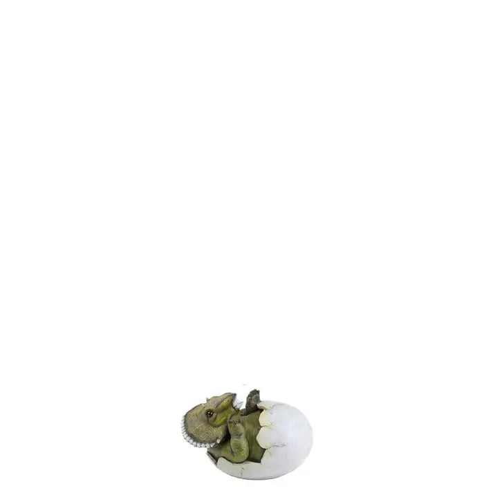 Small Baby Triceratops Dinosaur Egg Hatchling A0032-2728100-DT