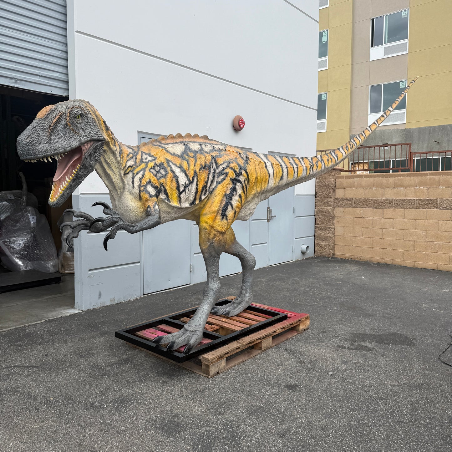 Australovenator Dinosaur Life Size Statue