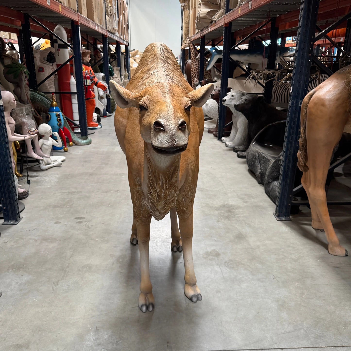 Dromedary Camel Life Size Statue A0440-3588-A