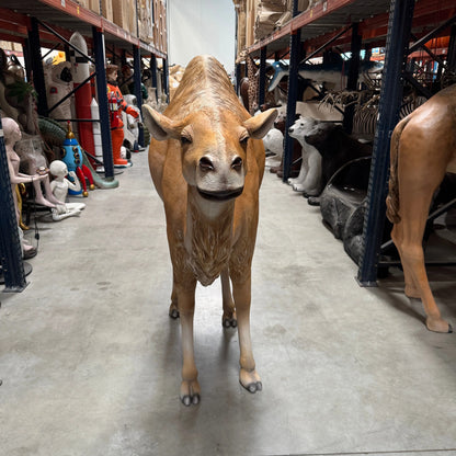 Dromedary Camel Life Size Statue A0440-3588-A