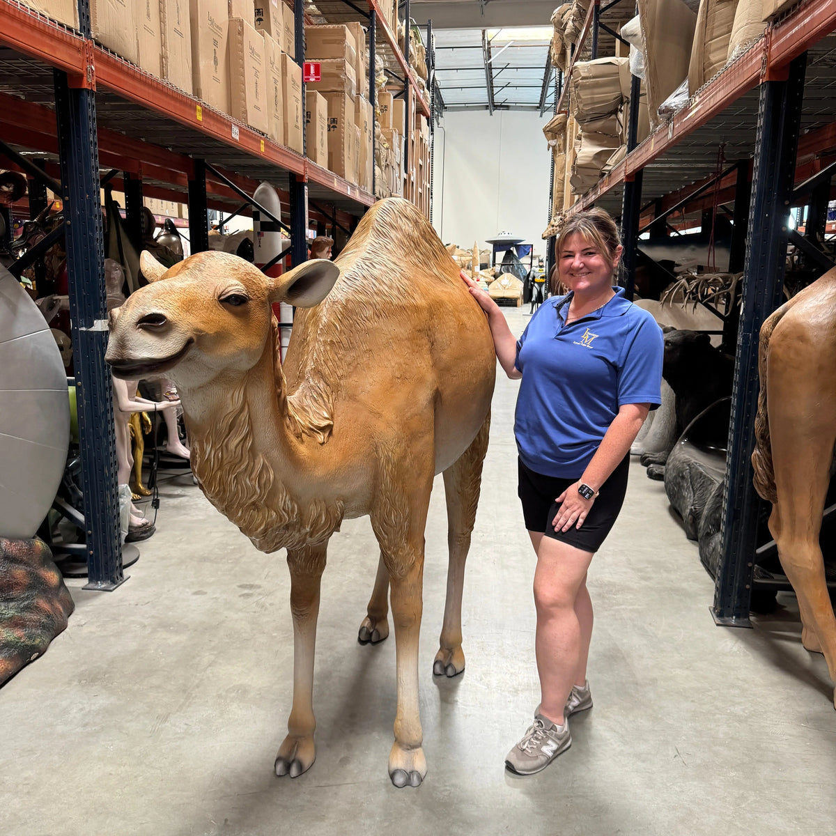 Dromedary Camel Life Size Statue A0440-3588-A