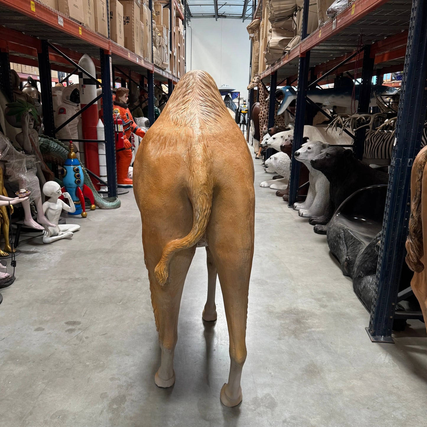 Dromedary Camel Life Size Statue A0440-3588-A