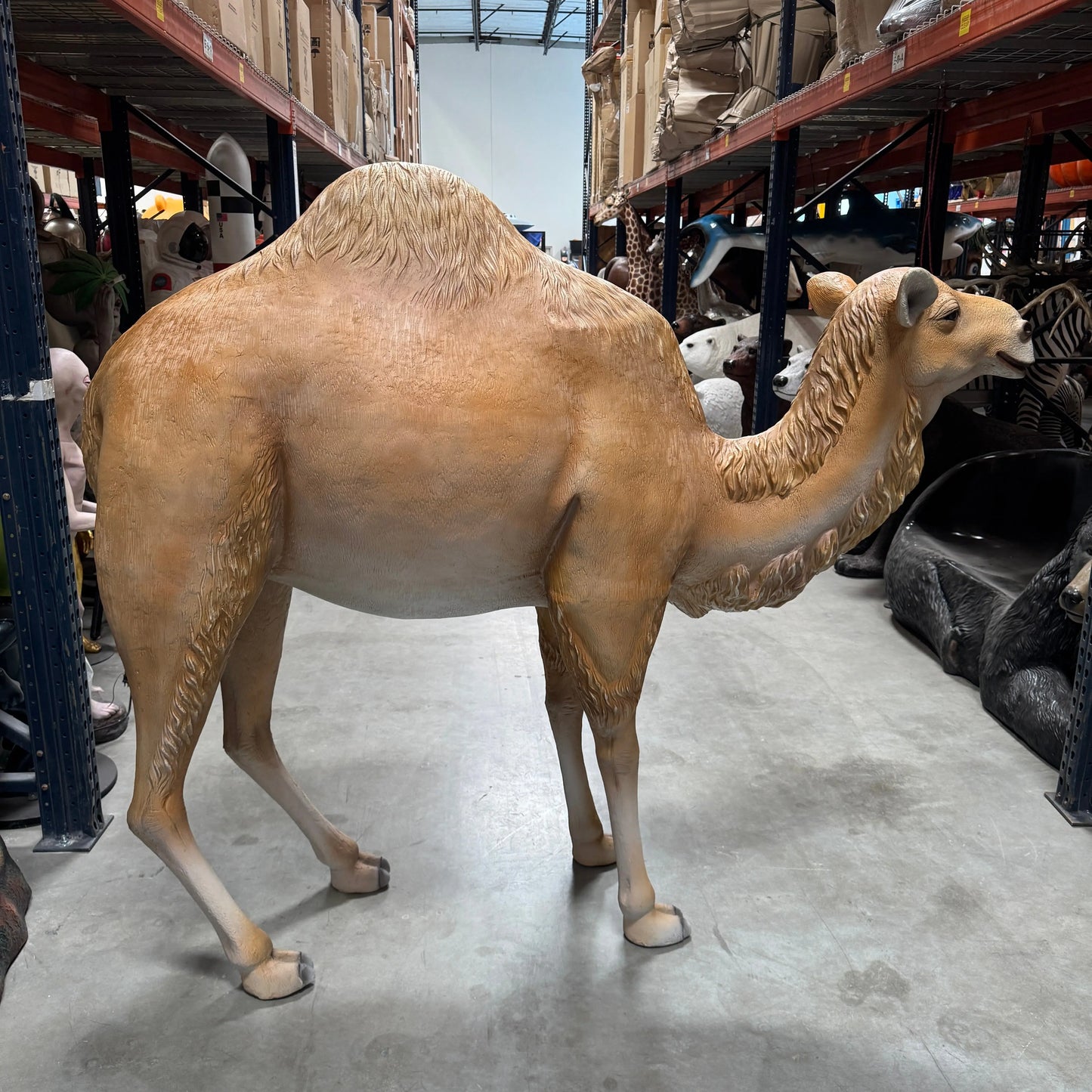 Dromedary Camel Life Size Statue A0440-3588-A