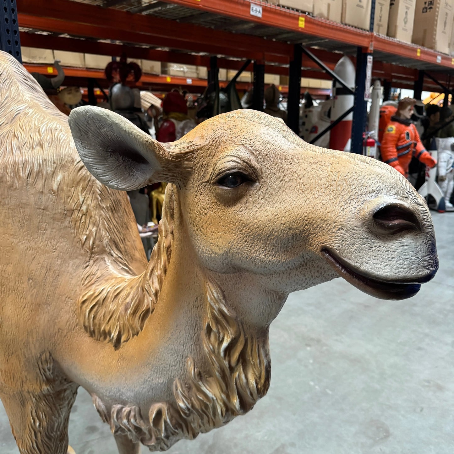 Dromedary Camel Life Size Statue A0440-3588-A
