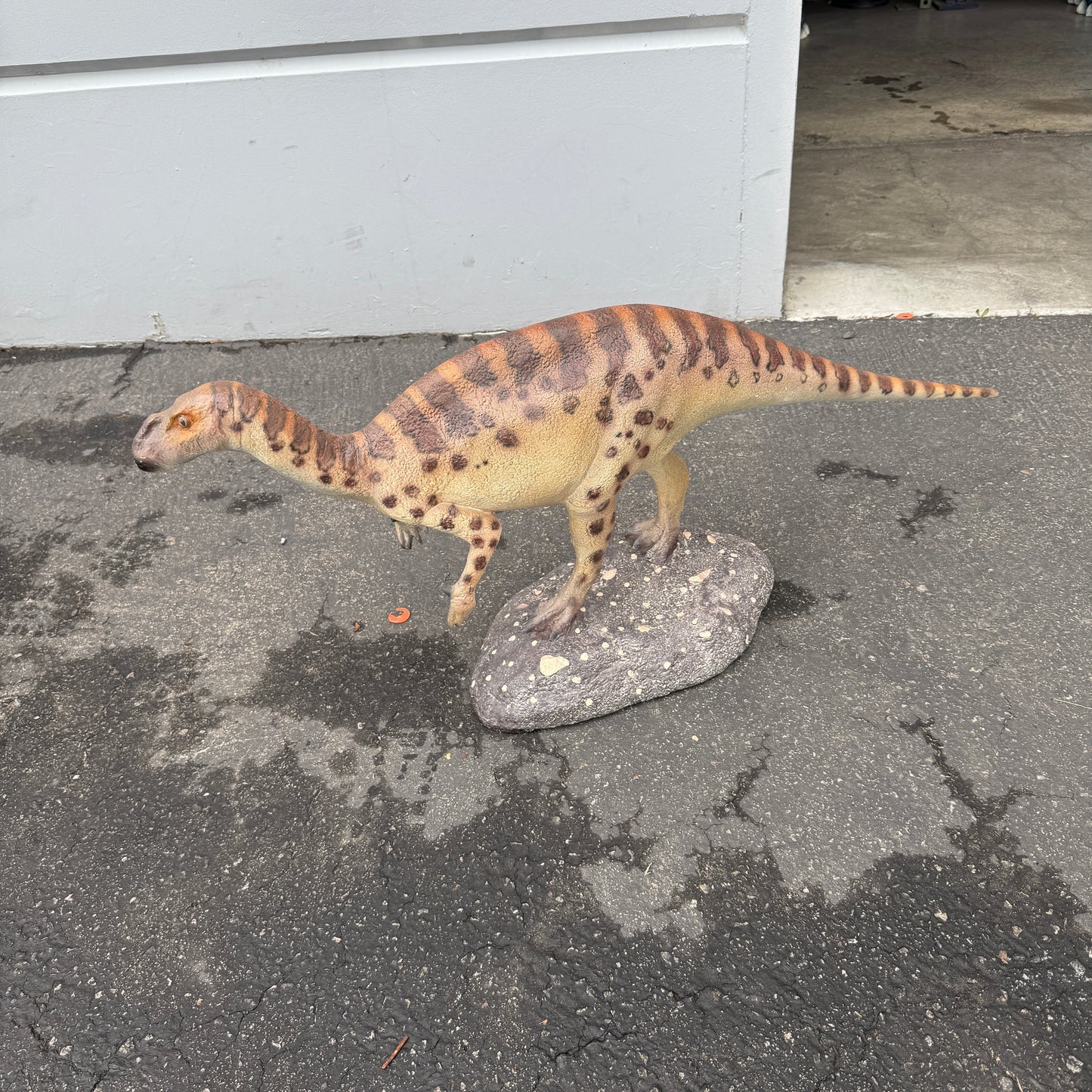 Small Iguanont Dinosaur Statue