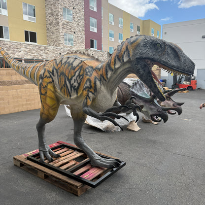 Australovenator Dinosaur Life Size Statue