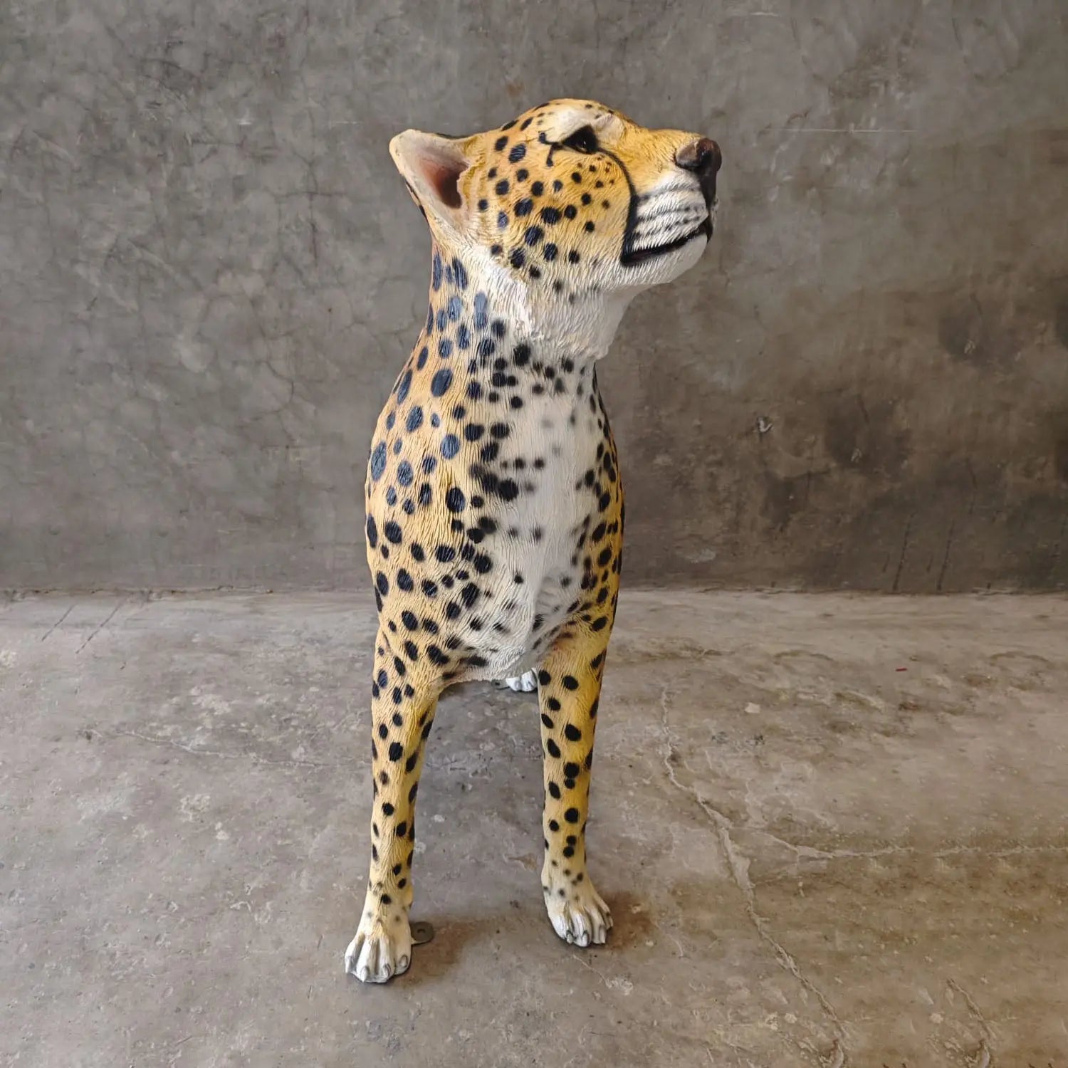 Cheetah Looking Up Statue A0537-3682-A