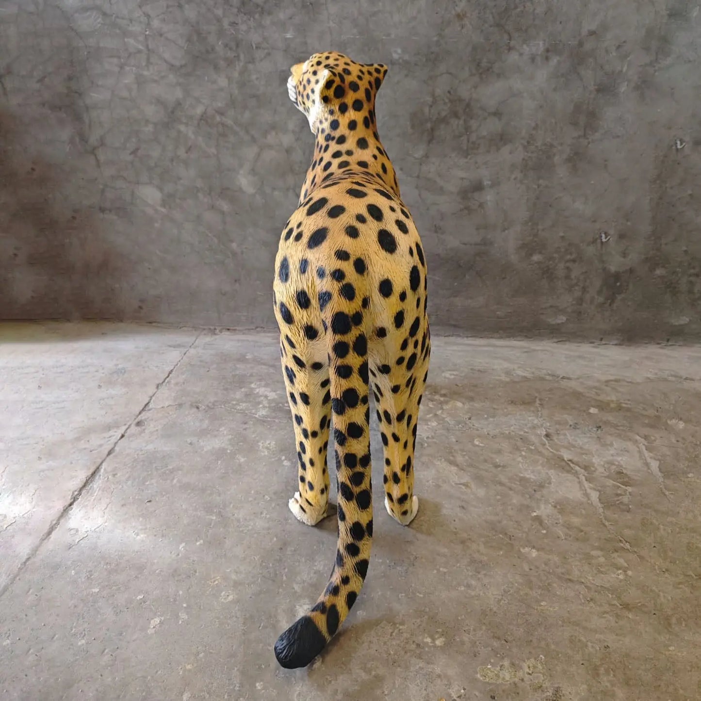 Cheetah Looking Up Statue A0537-3682-A