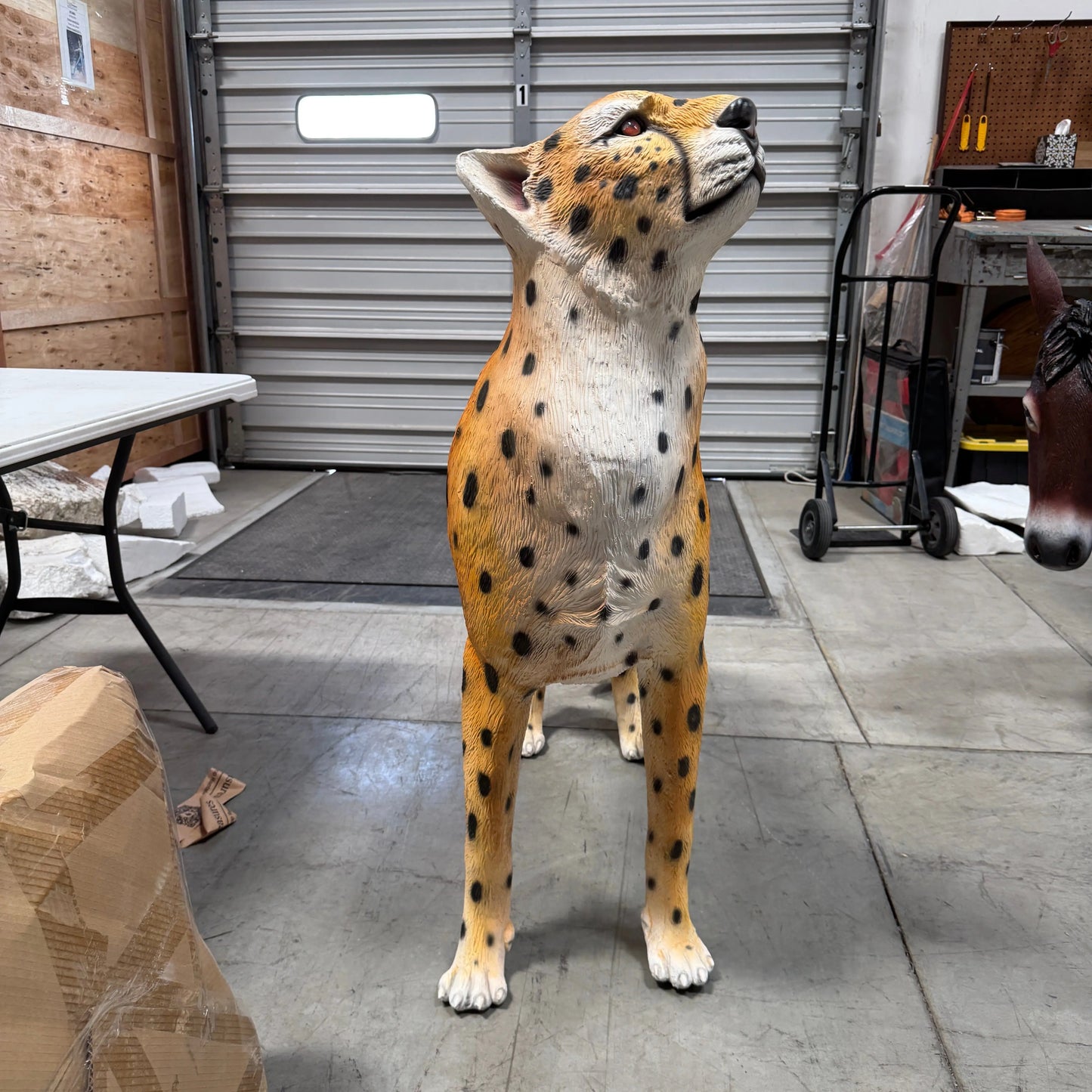 Cheetah Looking Up Statue A0537-3682-A