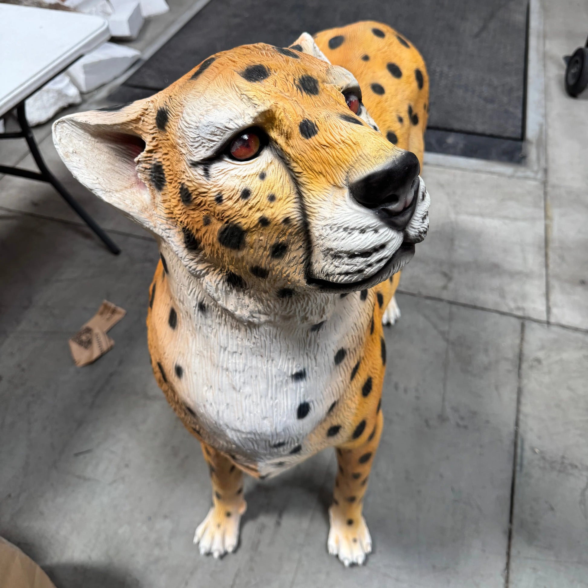 Cheetah Looking Up Statue A0537-3682-A