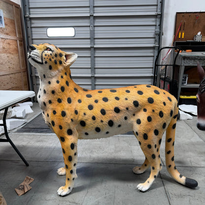 Cheetah Looking Up Statue A0537-3682-A