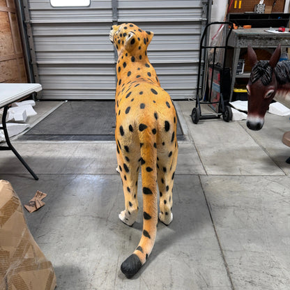 Cheetah Looking Up Statue A0537-3682-A