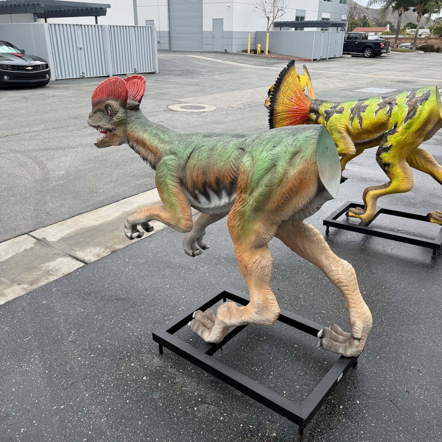 Venenifer Dinosaur Life Size Statue