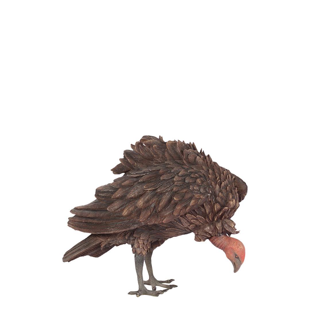 Vulture Life Size Statue - LM Treasures Prop Rentals 