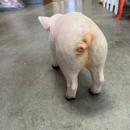 New Born Baby Pig Statue