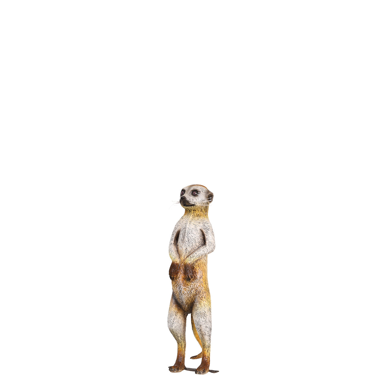 Meerkat Life Size Statue