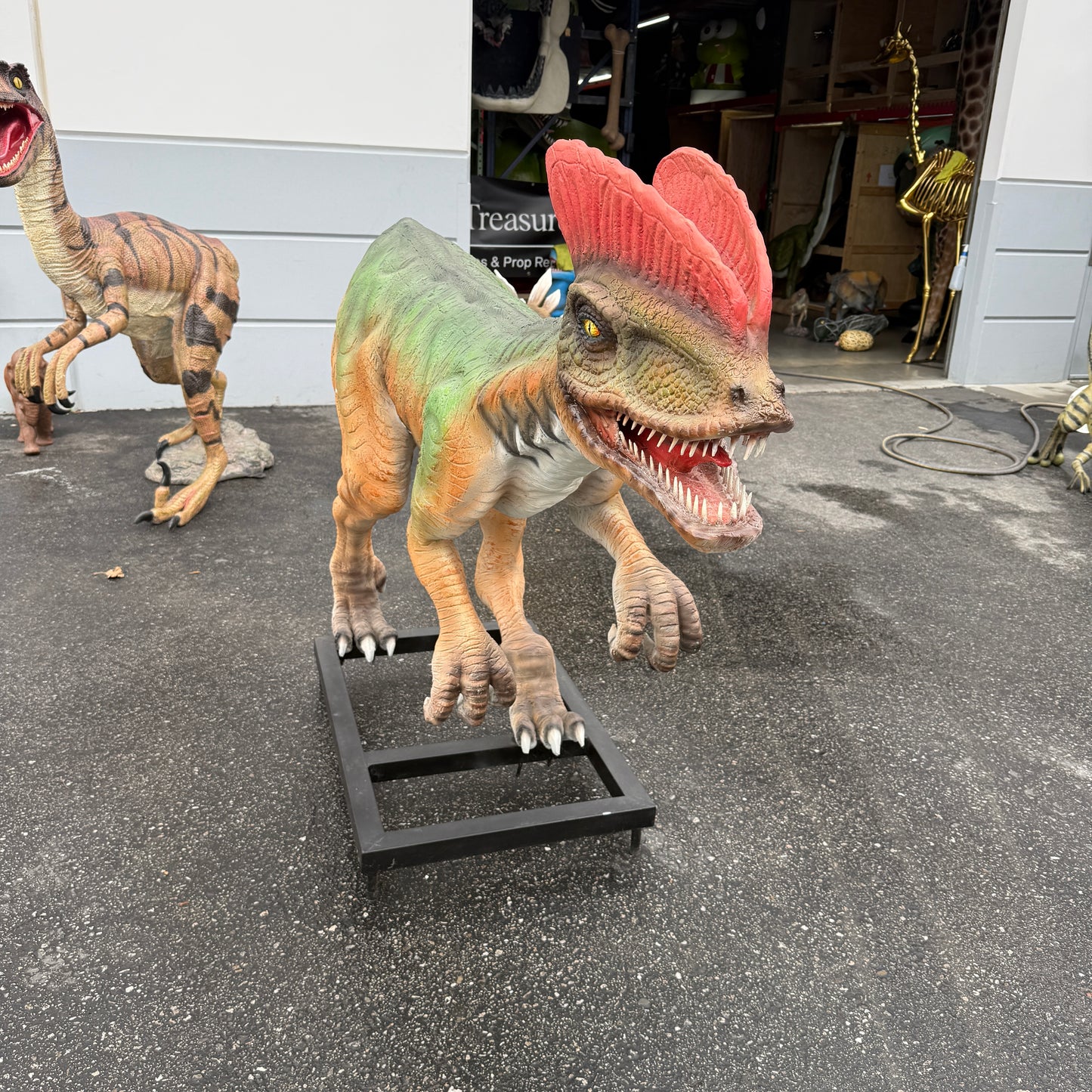 Venenifer Dinosaur Life Size Statue