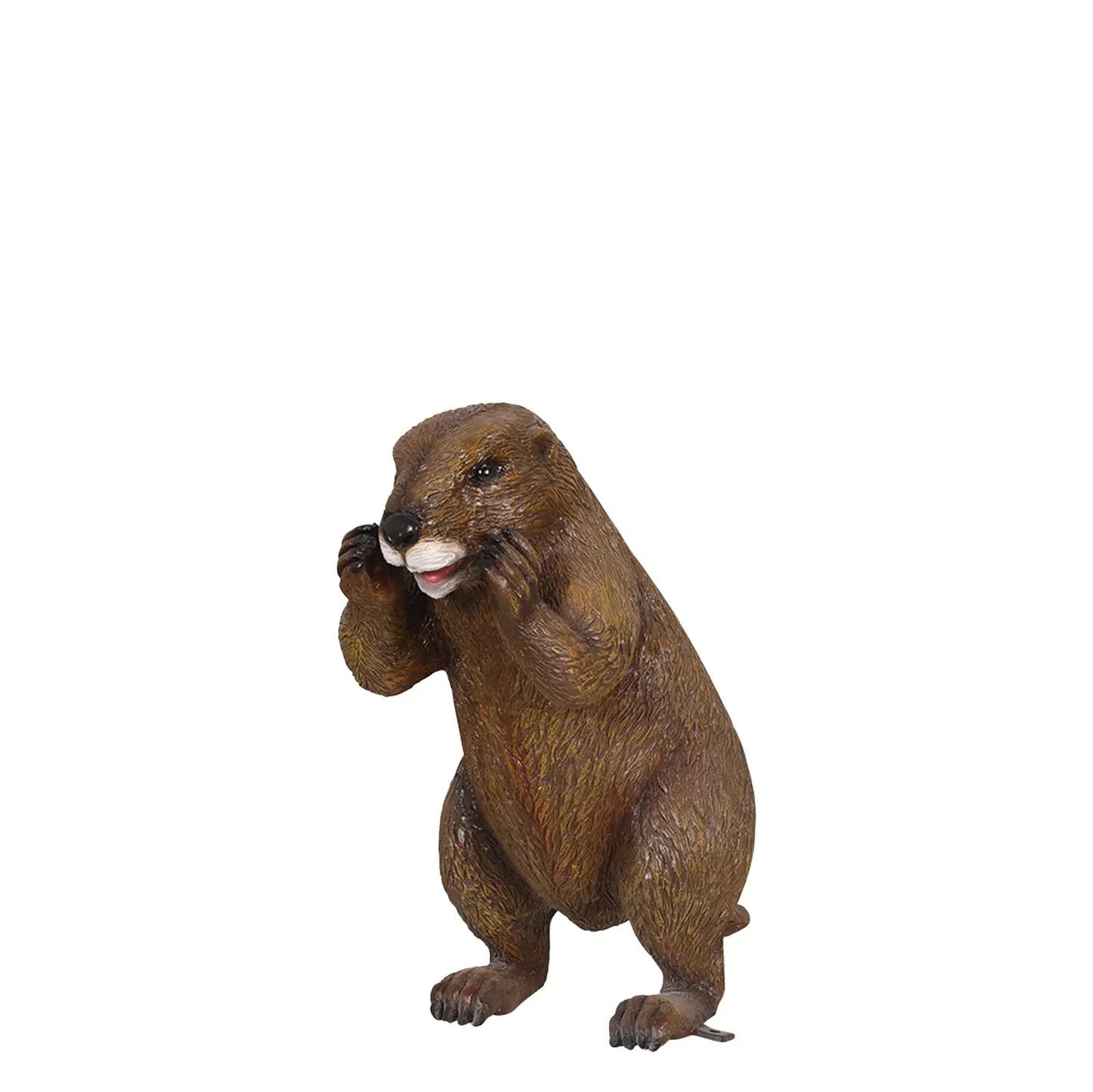 Standing Groundhog Statue A0109-4113-T