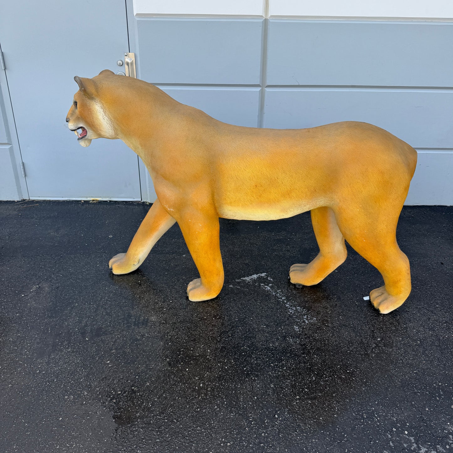 Walking Lioness Life Size Statue