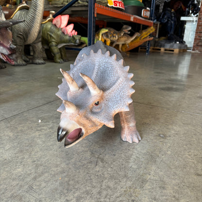 Small Triceratops Dinosaur Statue