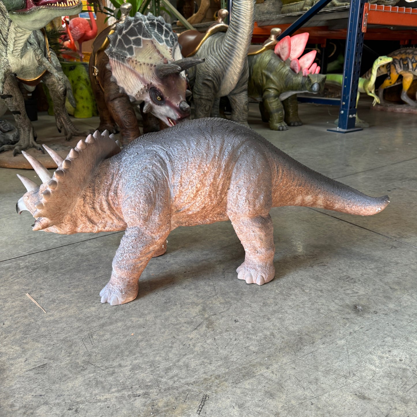 Small Triceratops Dinosaur Statue