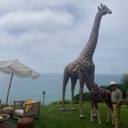 Life Size Giraffe Statue