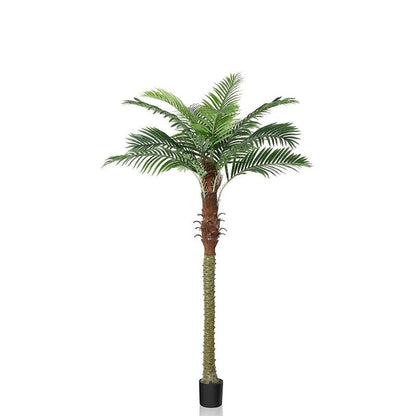 6ft Medium Palm Tree - LM Treasures Prop Rentals 